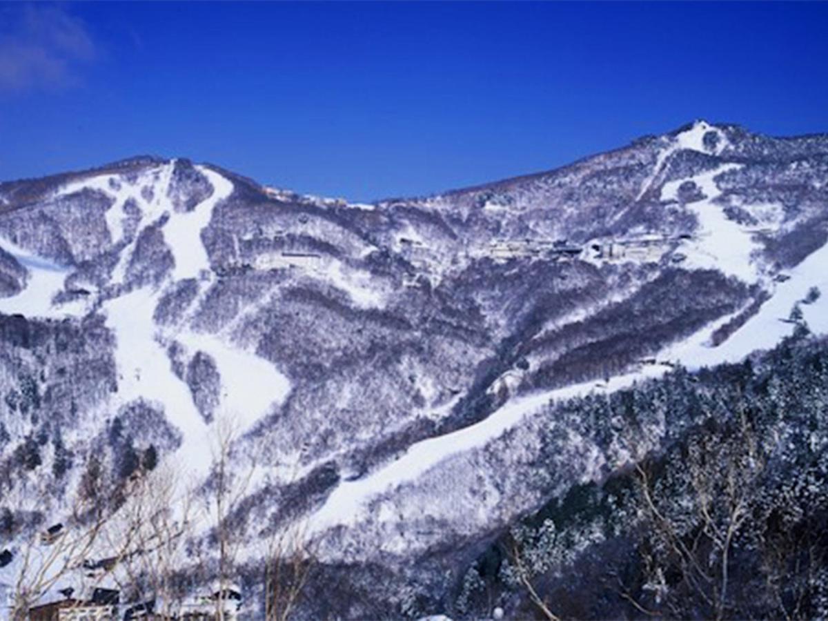 Shiga Swiss Inn Shiga Kogen Bagian luar foto