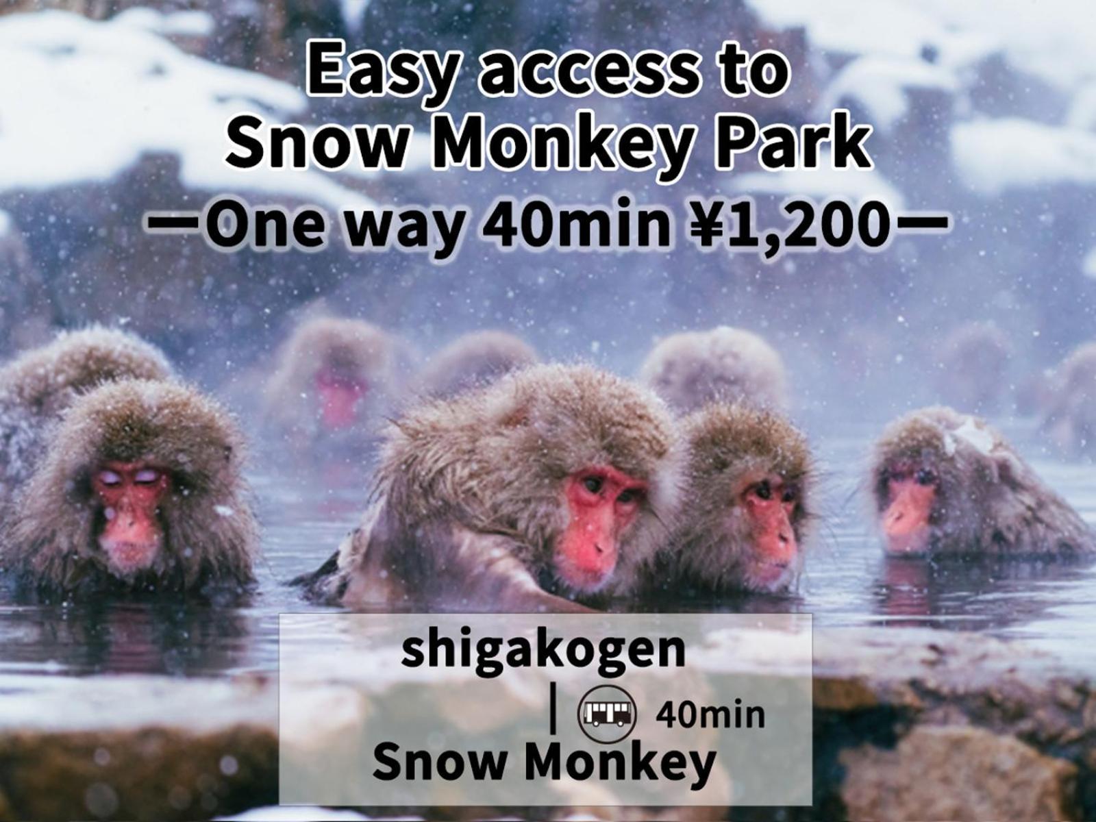 Shiga Swiss Inn Shiga Kogen Bagian luar foto